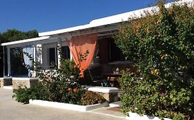 Liana Studios